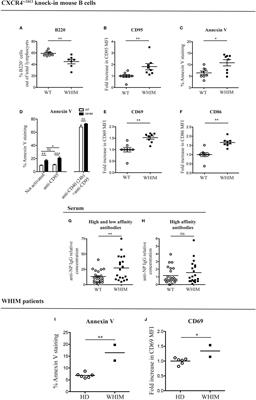 CXCL12 Mediates Aberrant Costimulation of B Lymphocytes in Warts, Hypogammaglobulinemia, Infections, Myelokathexis Immunodeficiency